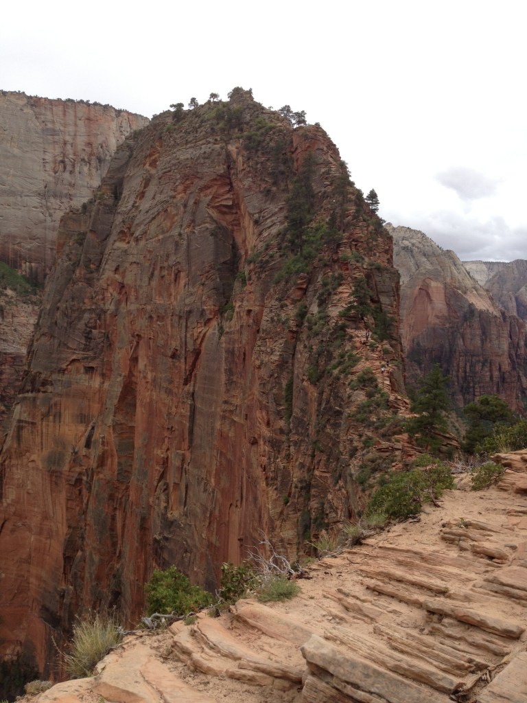 Proudest personal accomplishment: facing my fears and climbing to the top of Angels Landing, Zion National Park. This photo is taken from 2 miles up the trail at Scout Lookout. The last half mile is up that crazy fin to the narrow summit. I DID IT!!!!