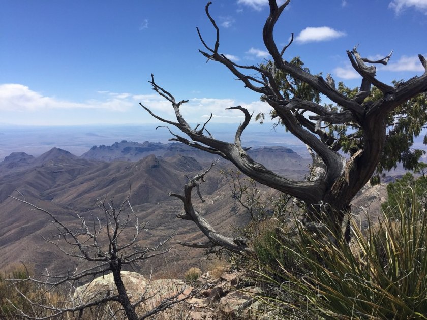 Inspiration - view from the South Rim, Chisos Mtns, Big Bend NP