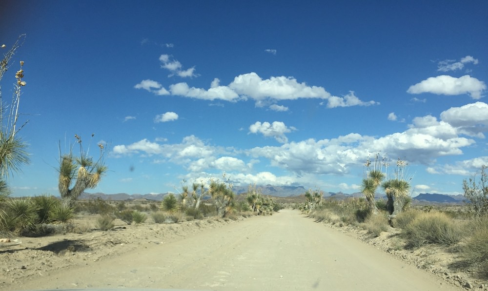Old Maverick Road, Big Bend NP