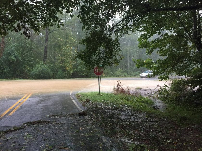 Our neighborhood creek found a new path during the hurricane.