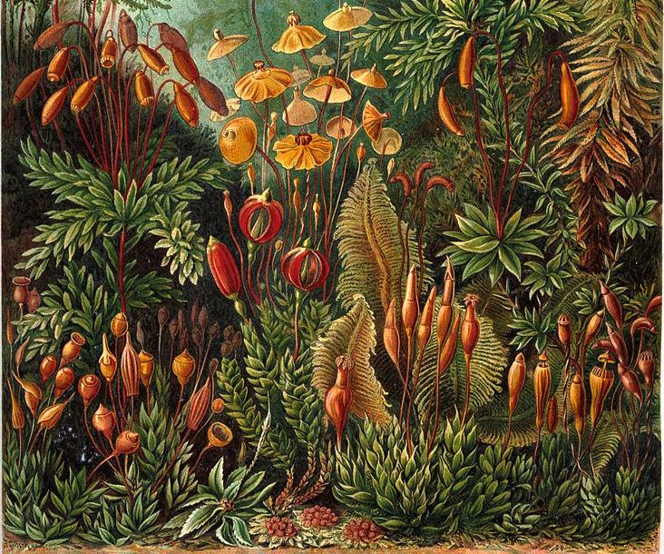 learning events for the association management community