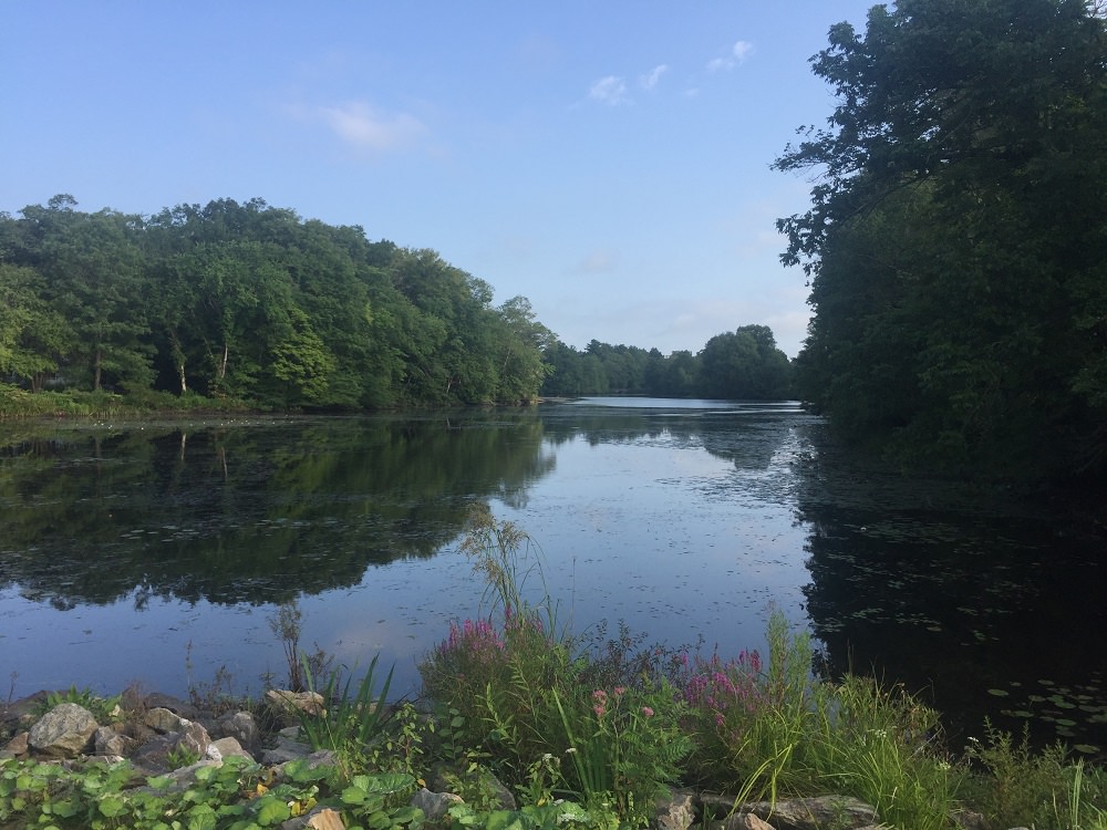 Association Brain Food Weekly:&nbsp;6.29.18