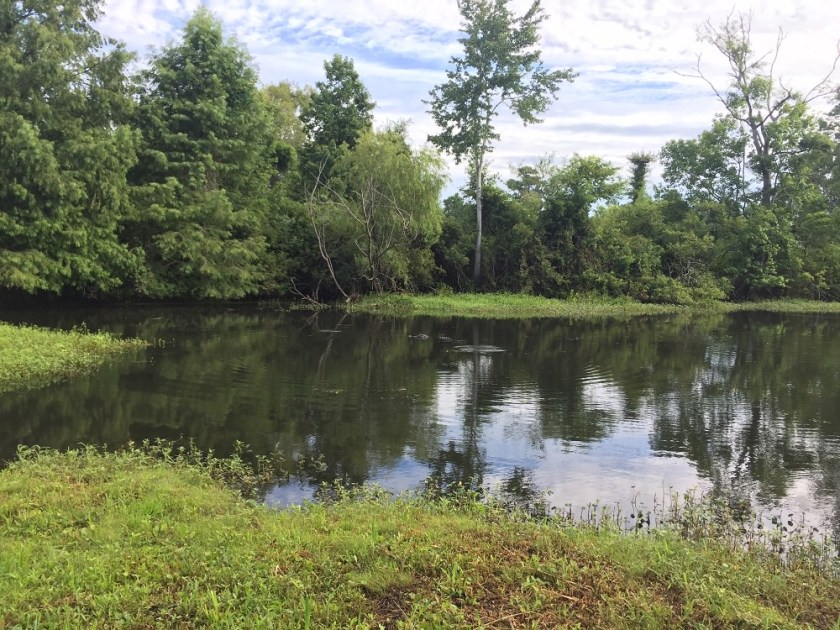 Free professional development resources and events for CAEs, association staff and others in the association community