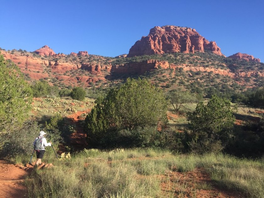 Bear Mountain in Sedona - my inspiration for professional development resources and events for CAEs, association staff and others in the association community