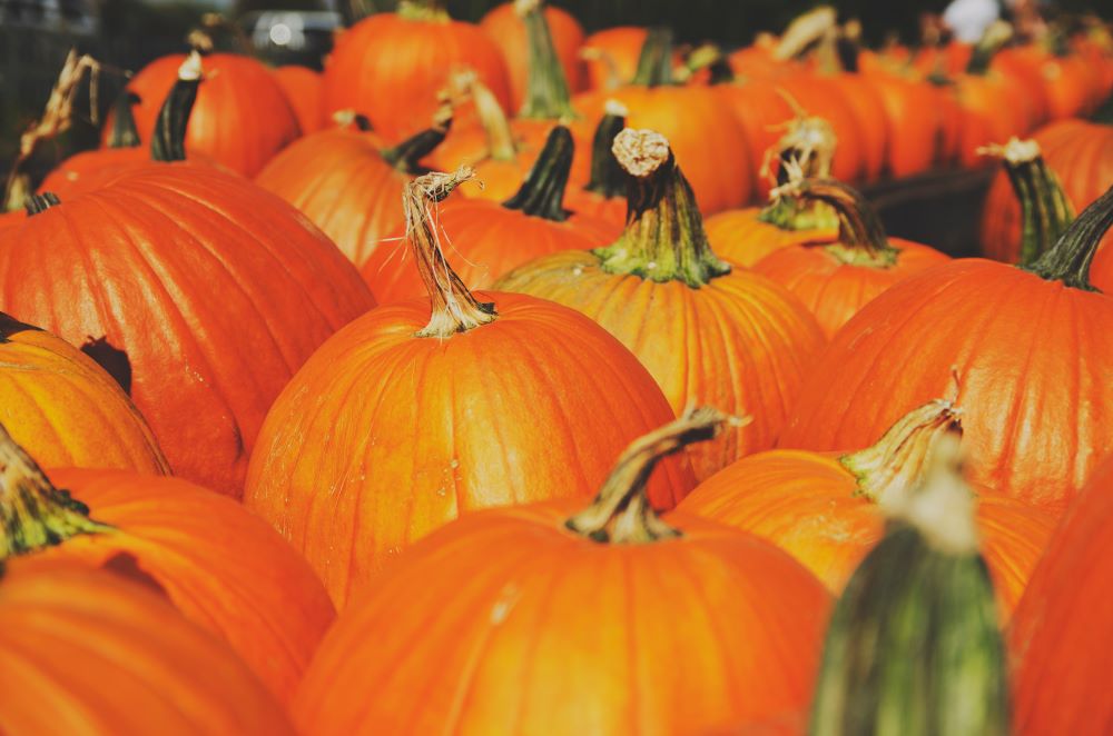 Free professional development resources and events for CAEs, association staff and others in the association community