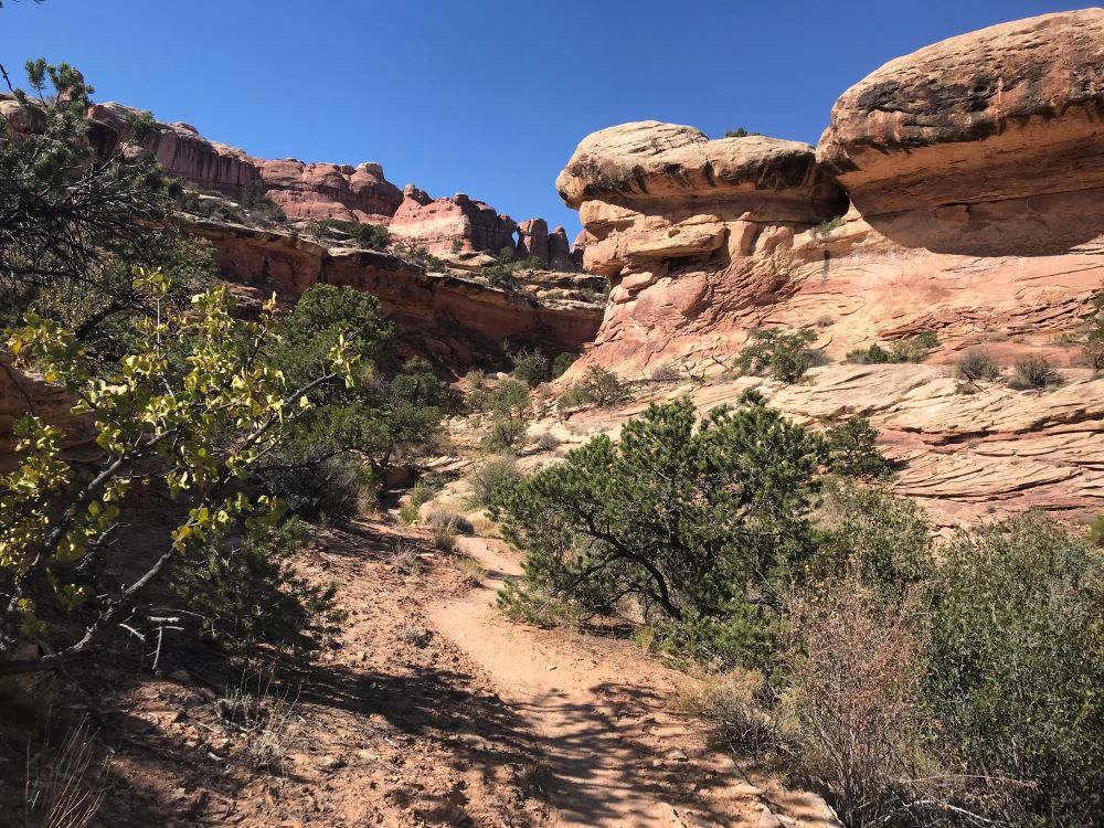 Free educational resources and events for the association management community