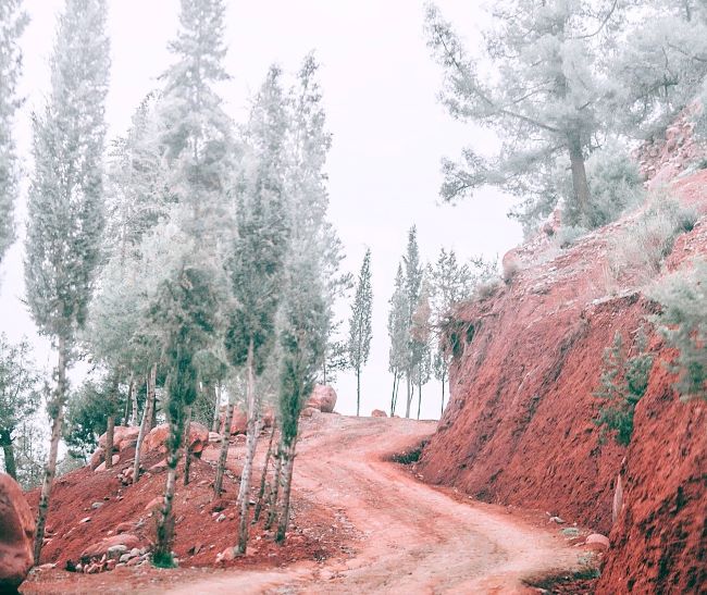 Free educational resources and events for the association management community