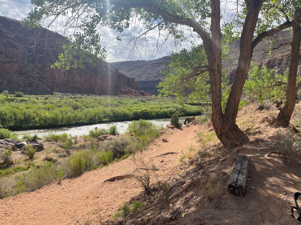 view of the Gunnison River in the Dominguez Canyon outside Olathe CO