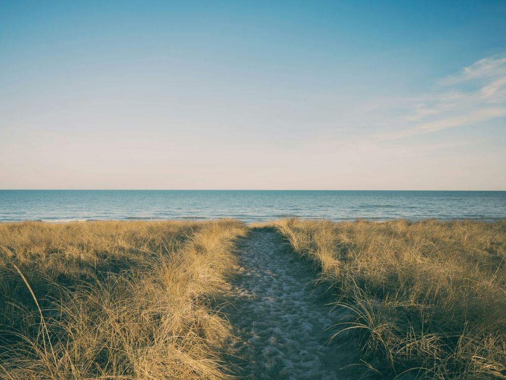 view of a calm sea from a sandy path through the dunes